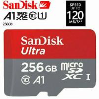 SanDisk Ultra micro scxd 