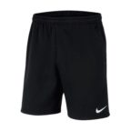 nike_short_team_park_20