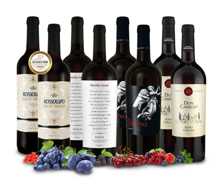 Ebrosia: Wein Vorteilspaket mit nur Flaschen für 8 39,95€