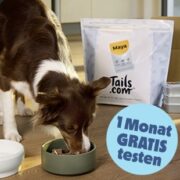 🐶 *TOP* tails.com: 1 Monat kostenloses Hundefutter (nur 2€ Versand)